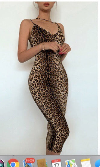 Sexy cheetah